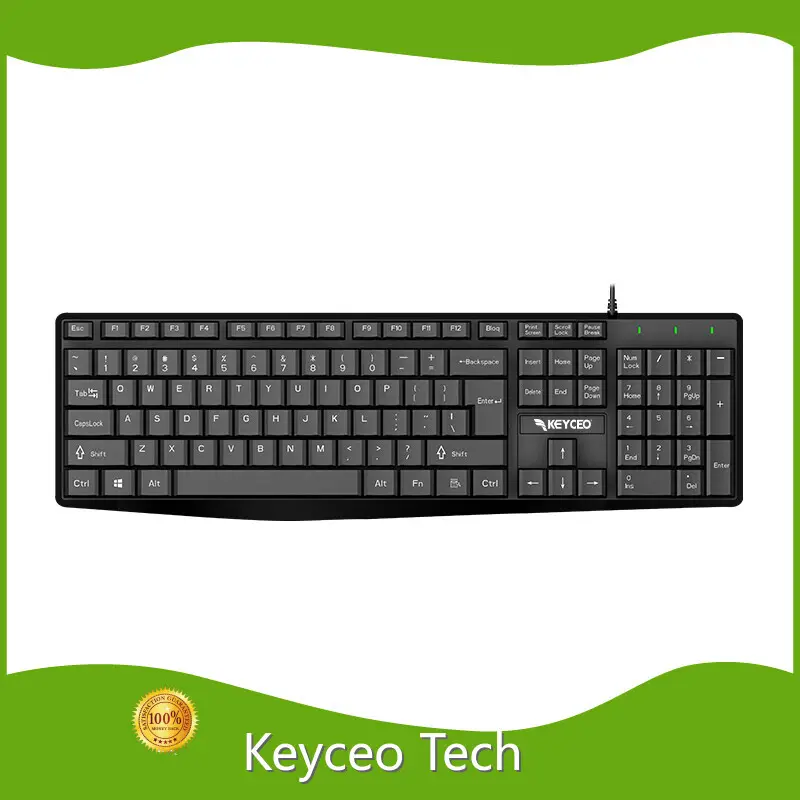 Custom Slim Mechanical Keyboard Keyceo 1