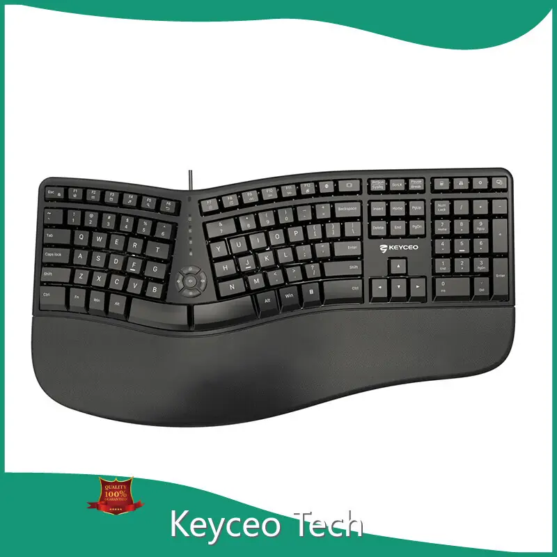 Custom Wired Rgb Keyboard Keyceo 1