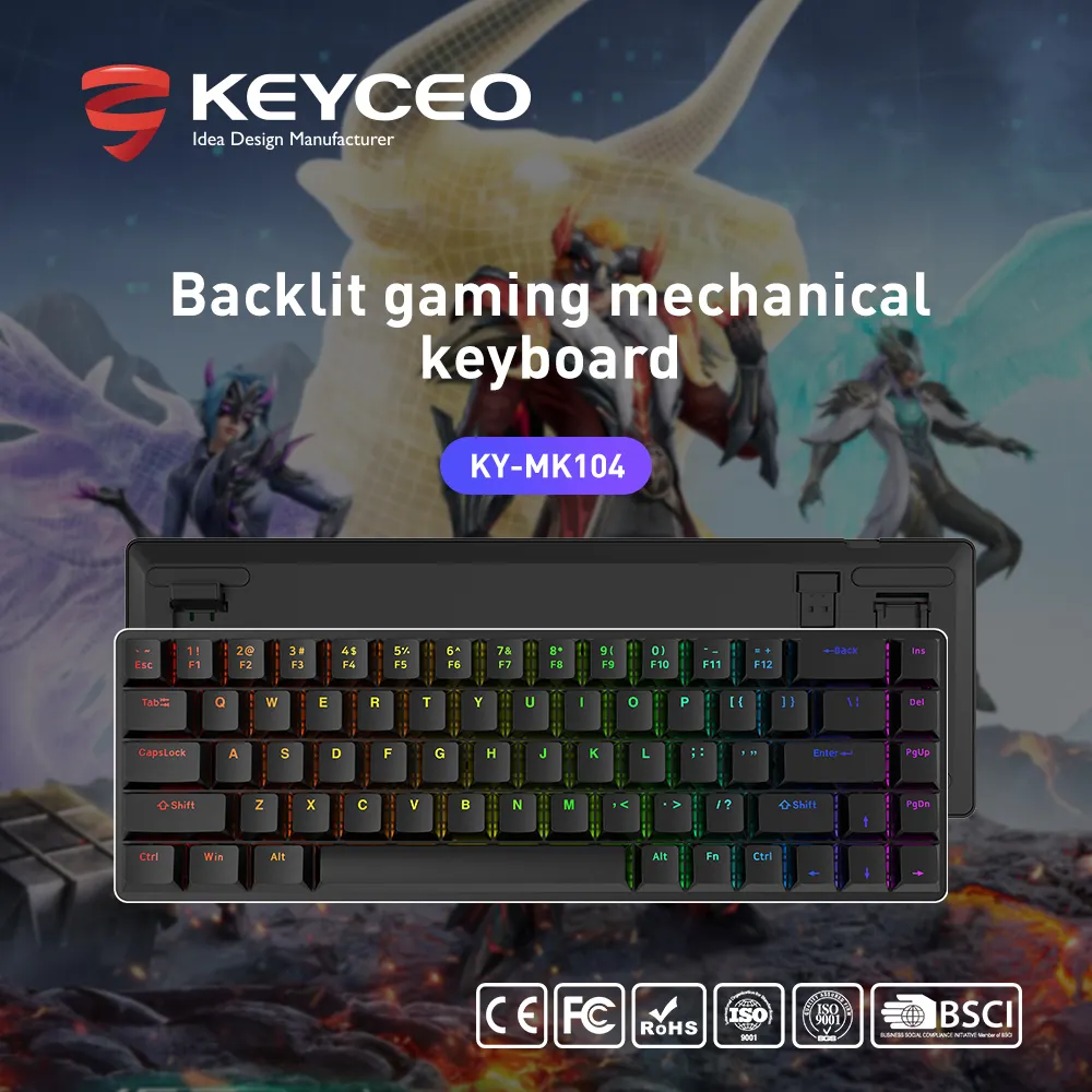 OEM Keyboard 60% Keyboard by Keyceo 2