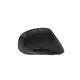 Oem Mouse Ergonomic Mouse Keyceo 2
