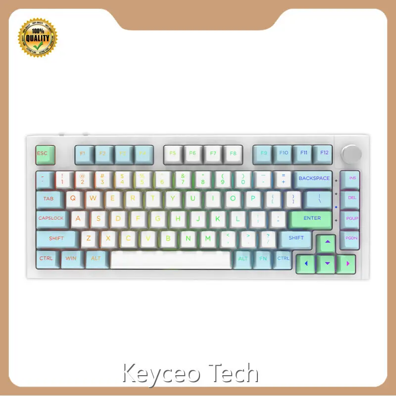 Wireless Mechanical Keyboard for Gaming Keyceo Brand 333*143*43mm RGB 867 Manufacture 1