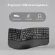 Ergonomic Sphere Keyboard Price List | Keyceo 4