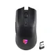 Oem Mouse RGB - - Keyceo 2