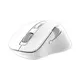 Oem Mouse Stock - - Keyceo 4