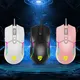 OEM OEM Mechanical Keyboard Keyceo RGB-2 6