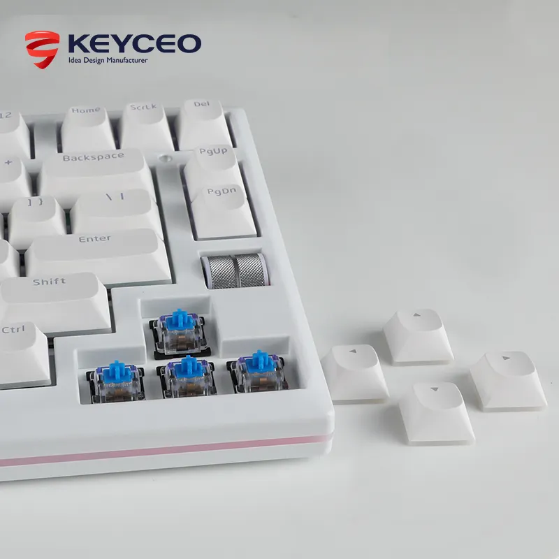 OEM Keyboard 1000Hz 92/93 Keys 4