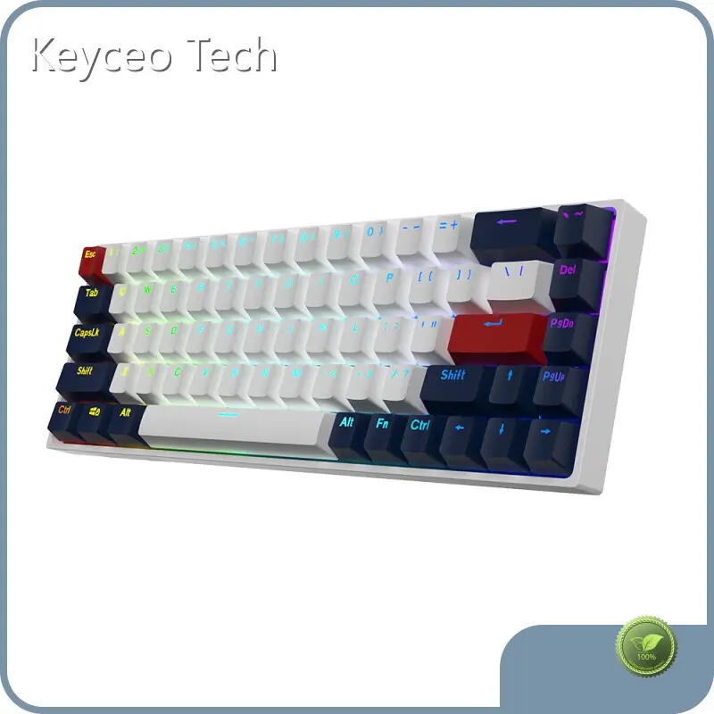 OEM Keyboard Keyceo Brand Yes RGB Or Rainbow 1