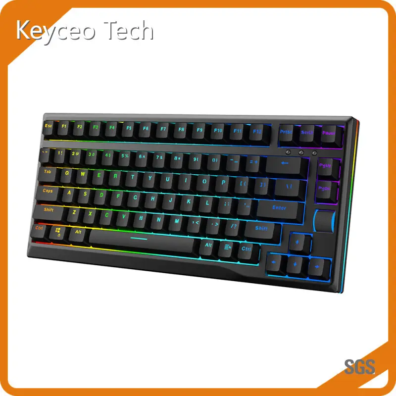 OEM Keyboard 1000Hz 92/93 Keys 1