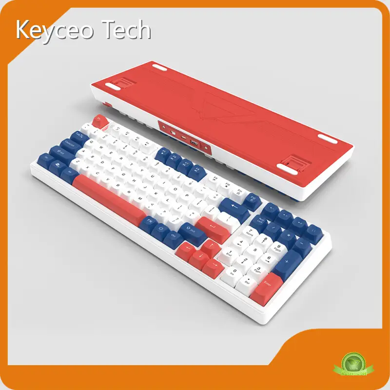 OEM OEM Mechanical Keyboard Keyceo RGB 1