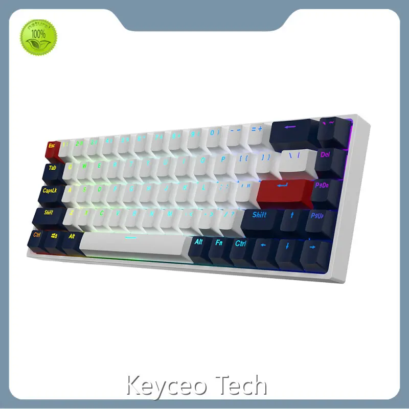 Mouse Pad Manufacturer 3.5mm Keyceo Brand 60 Million Times Outemu Switches RGB Or Rainbow 1