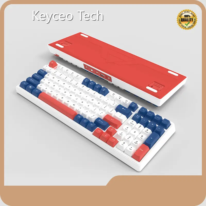 OEM OEM Mechanical Keyboard Keyceo RGB-1 1