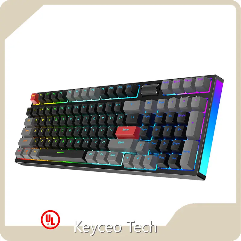 Oem Mouse RGB USB Type C Oem Mouse CONTENT 60 Million Times Company 1
