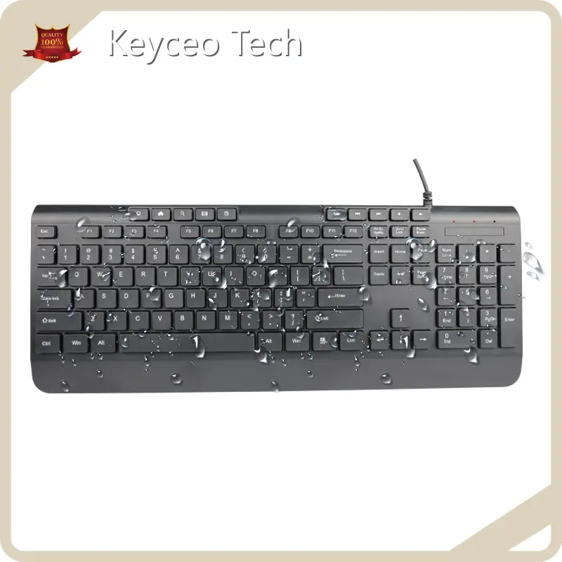 Best Budget Mechanical Keyboard Keyceo Company 1