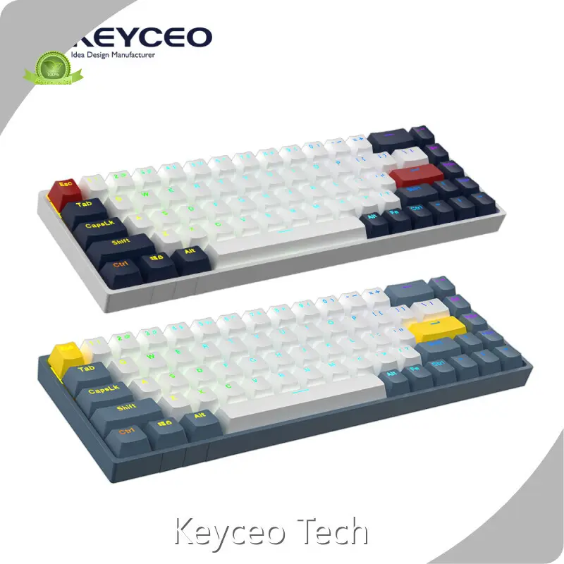 Custom OEM Mechanical Keyboard No Keyceo 1