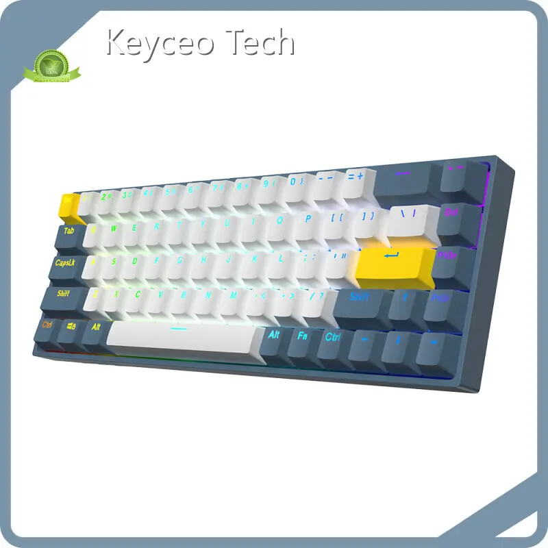 Gaming Keyboard Manufacturers at Wholesale Prices | Keyceo 1