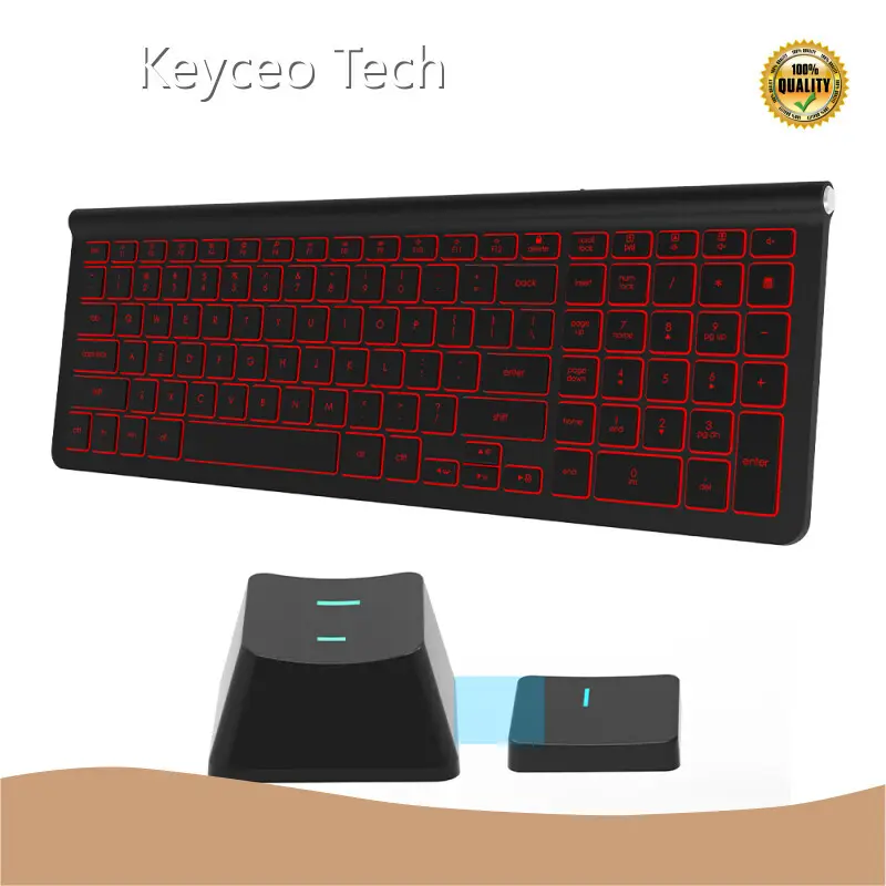 Keyceo Ergonomic Keyboard Best Buy 477g / US Layout 1