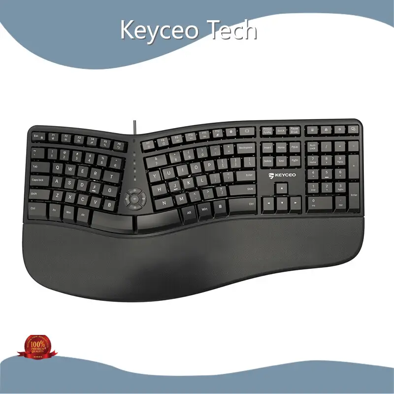 Wireless Ergonomic Gaming Keyboard KY-K880 Others Bulk Buy Multimedia Keys Keyceo 1