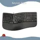 Wireless Ergonomic Gaming Keyboard KY-K880 Others Bulk Buy Multimedia Keys Keyceo 1