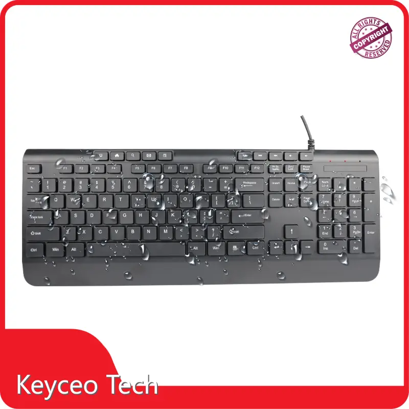 Best Budget Mechanical Keyboard Best Budget Mechanical Keyboard Company 1