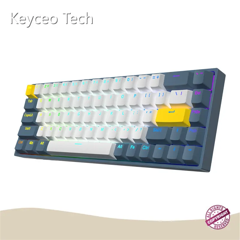 OEM Mechanical Keyboard Multi Keys Keyceo Brand Company USB Yes 1