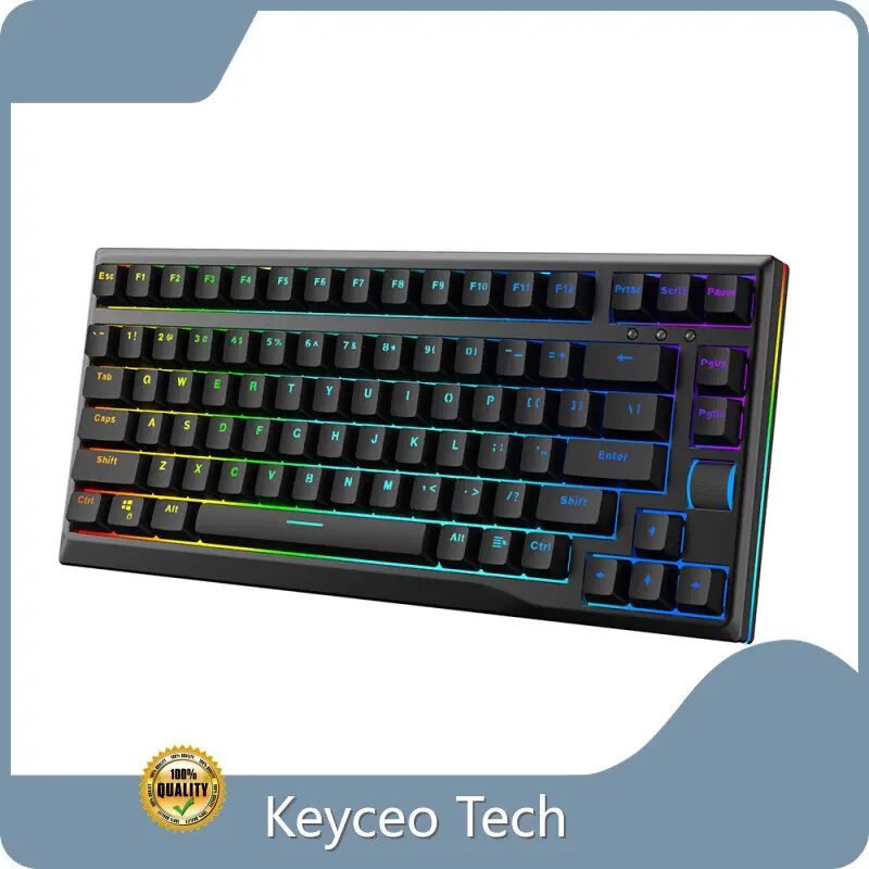 OEM OEM Keyboard Keyceo Yes 1