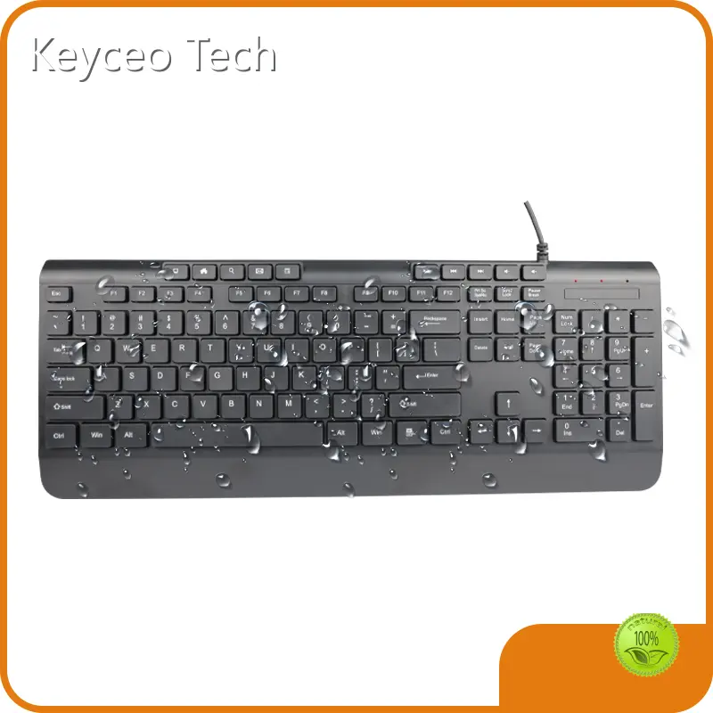 Quiet Mechanical Keyboard Keyceo-1 1