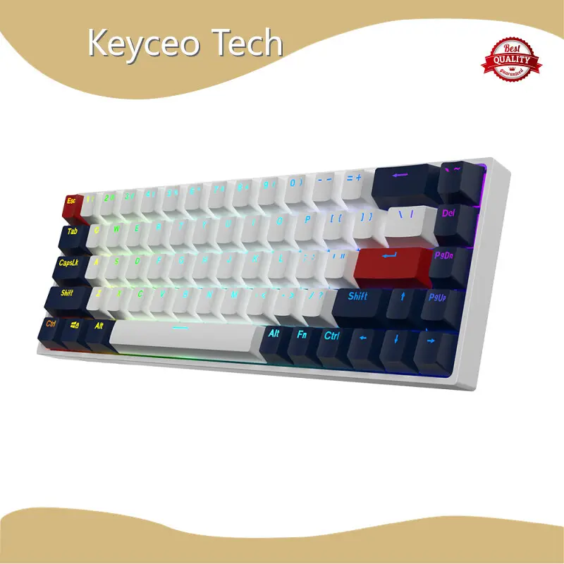 Best Mechanical Keyboard Manufacturers 2.4Ghz Wireless Keyceo Brand 1000Hz USB Type C 1