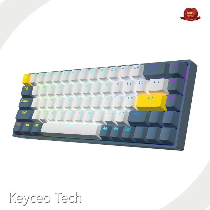 OEM Best Mechanical Keyboard Manufacturers Keyceo Multi Keys 1