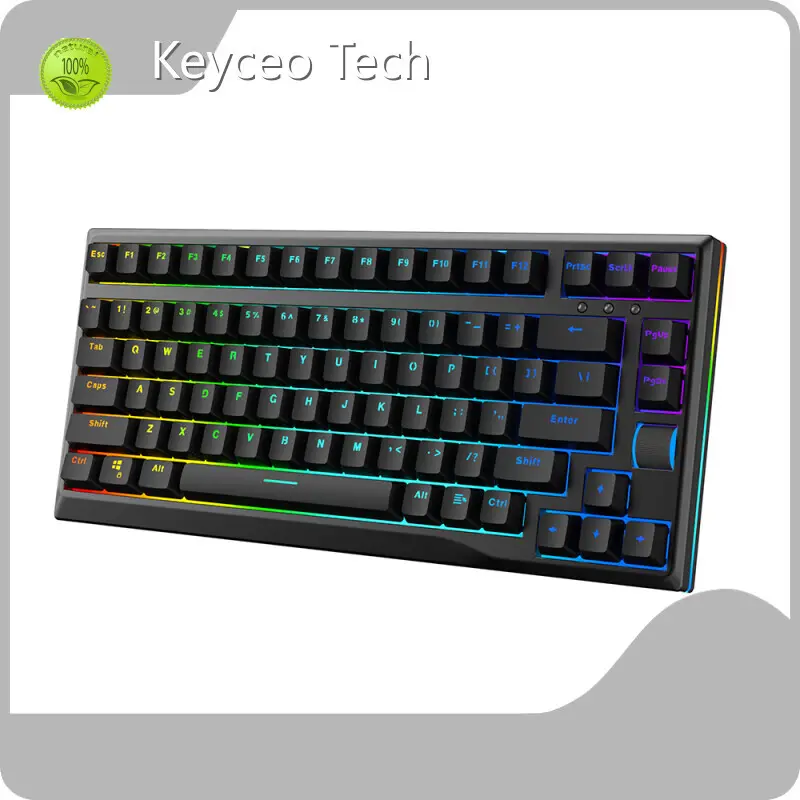 Mouse Pad Manufacturer Keyceo Brand New Rainbow/RGB 1