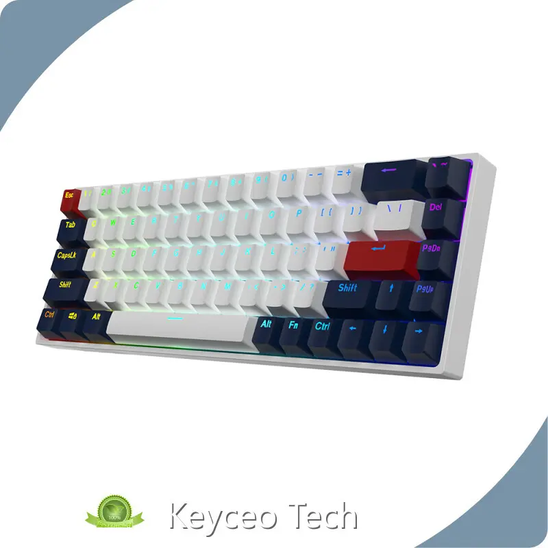 OEM Mechanical Keyboard for ,2.4Ghz Wireless Rainbow & RGB 1