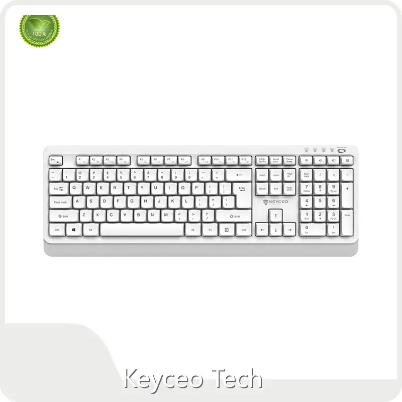 Hot OEM Mechanical Keyboard 100% Keyboard Keyceo Brand 1