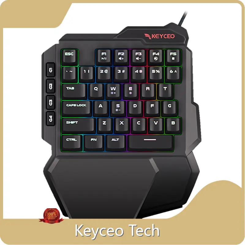OEM Keyboard Usb Keyceo 1