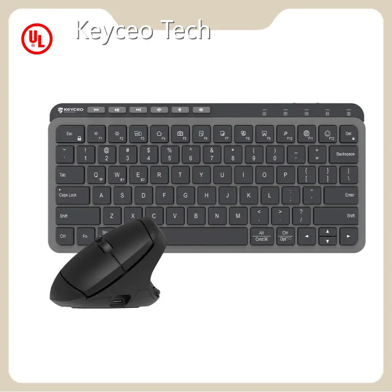 Gaming Keyboard Manufacturers 600 Wholesale - Keyceo 1