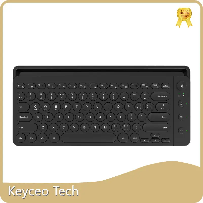Custom OEM Keyboard 83 Keys Keyceo 1