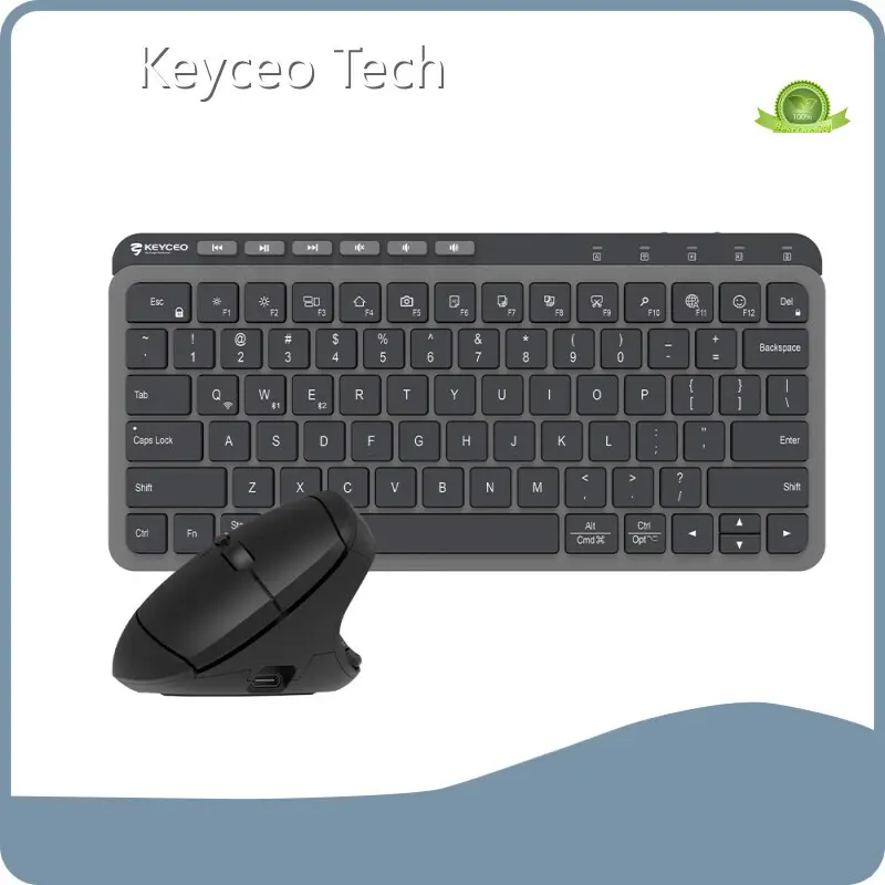 OEM Best Mechanical Keyboard Manufacturers Keyceo 600 1