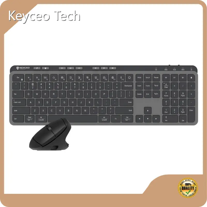OEM Mechanical Keyboard Bulk Buy Ergonomic Keyboard and Mouse Combo Keyceo 1