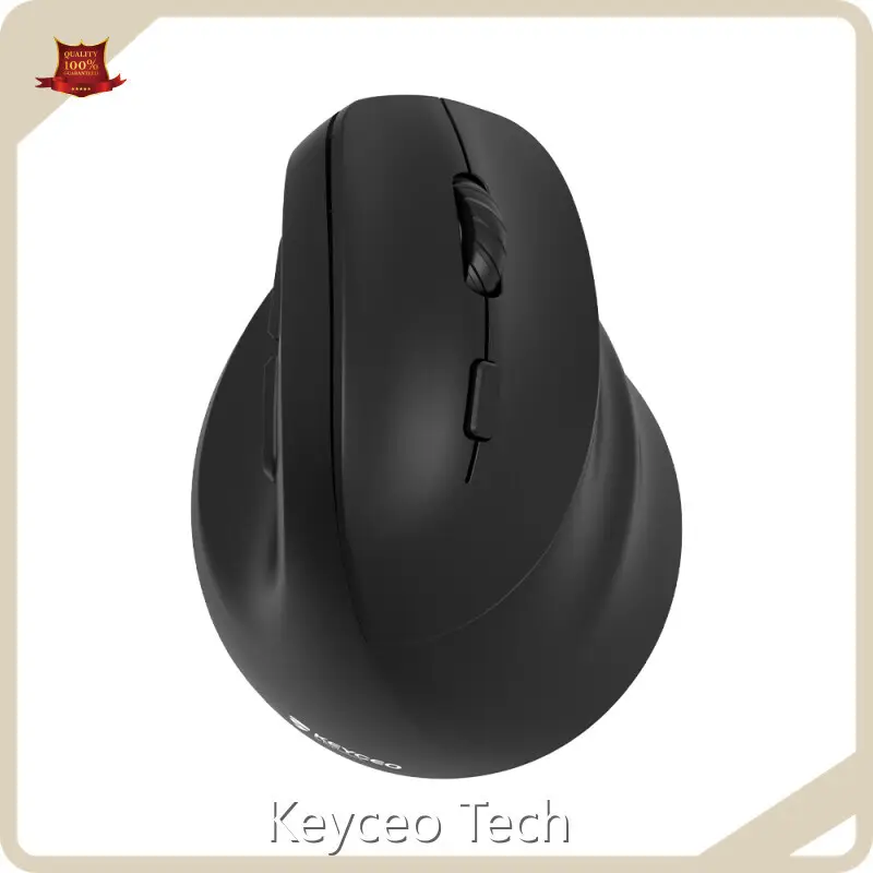 Gaming Keyboard Manufacturers 30IPS Keyceo-1 1