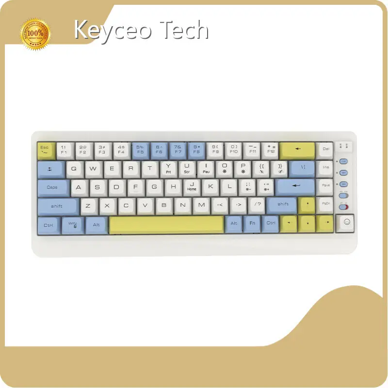 Custom Gaming Mouse Manufacturer USB+2.4G+BT Keyceo 1
