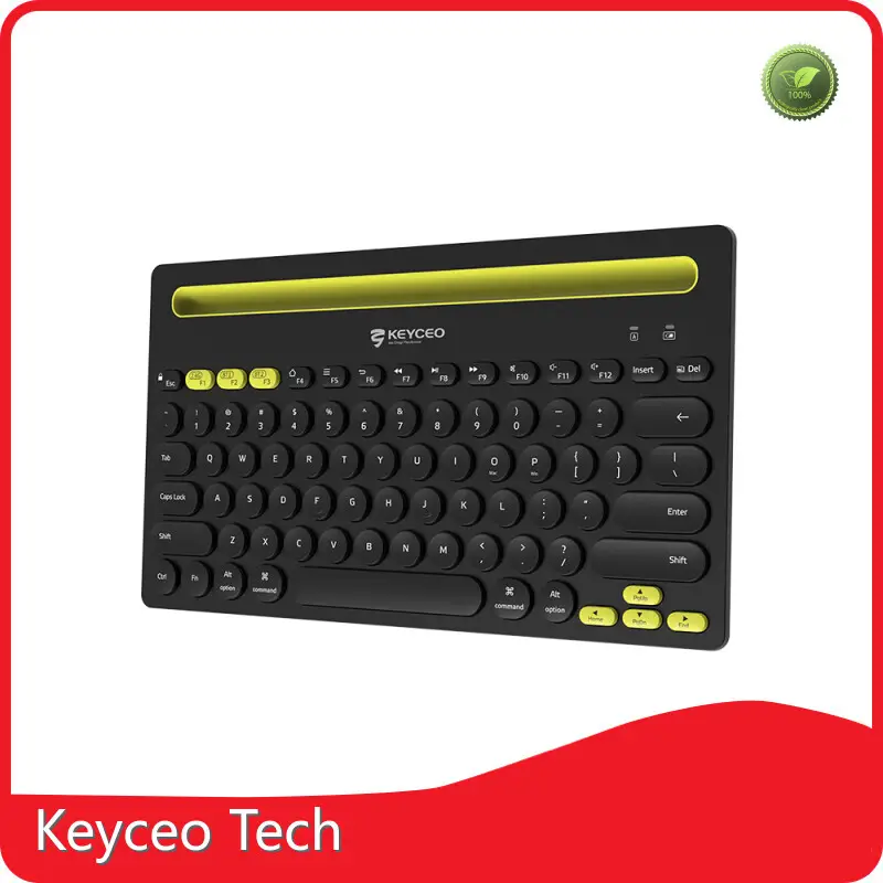 Custom OEM Mechanical Keyboard No Keyceo-1 1
