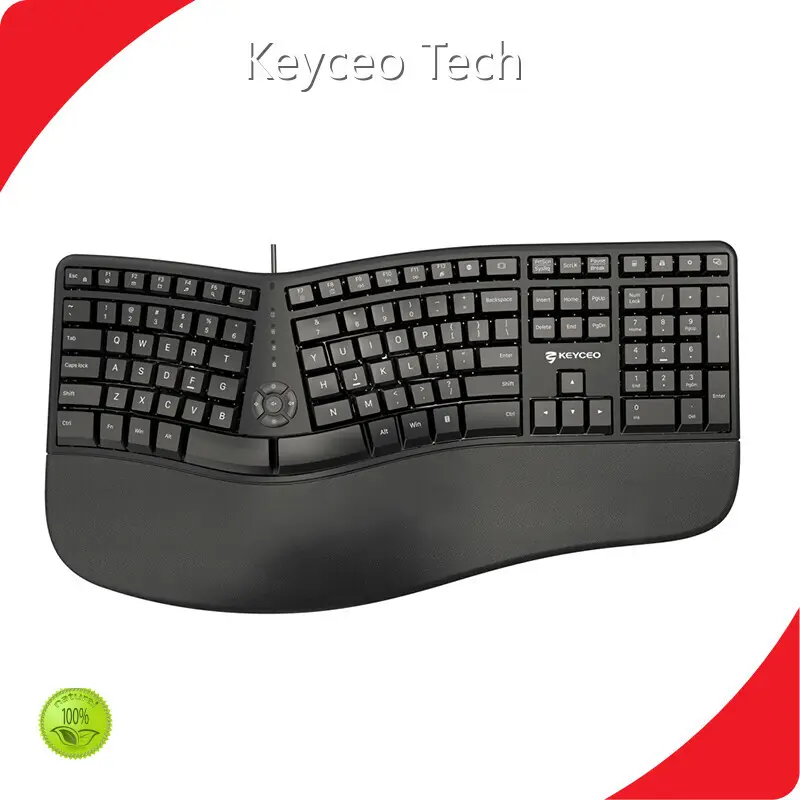 Custom OEM Mechanical Keyboard RGB Keyceo 1