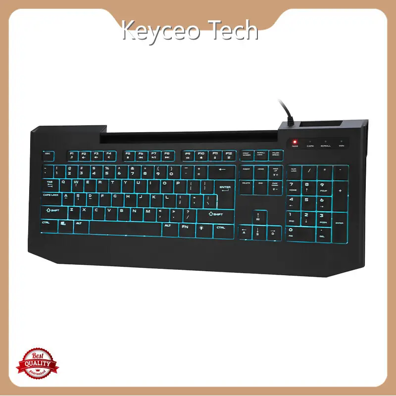 Best Mechanical Keyboard Manufacturers ABS by Keyceo 1