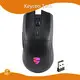 Oem Mouse RGB - - Keyceo 1