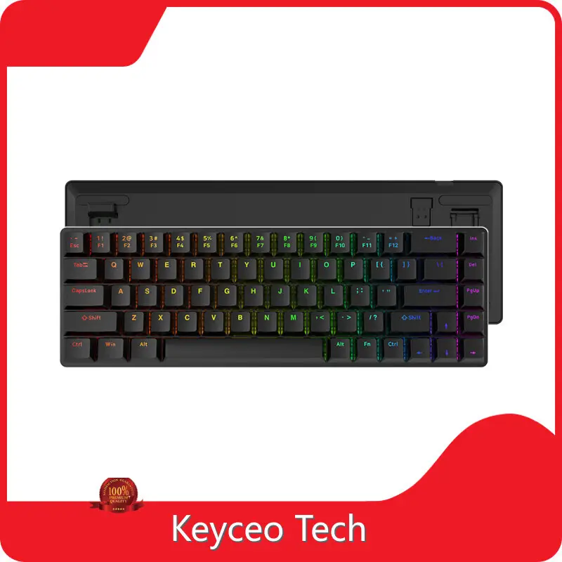 OEM Keyboard 60% Keyboard by Keyceo 1
