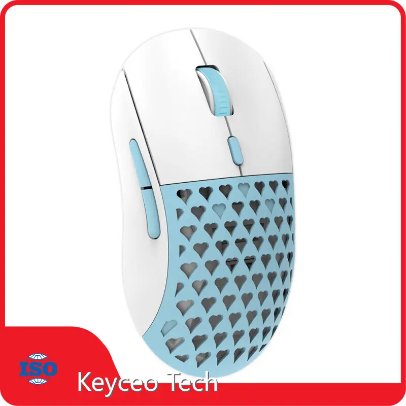 OEM Keyboard 1000 Hz by Keyceo 1