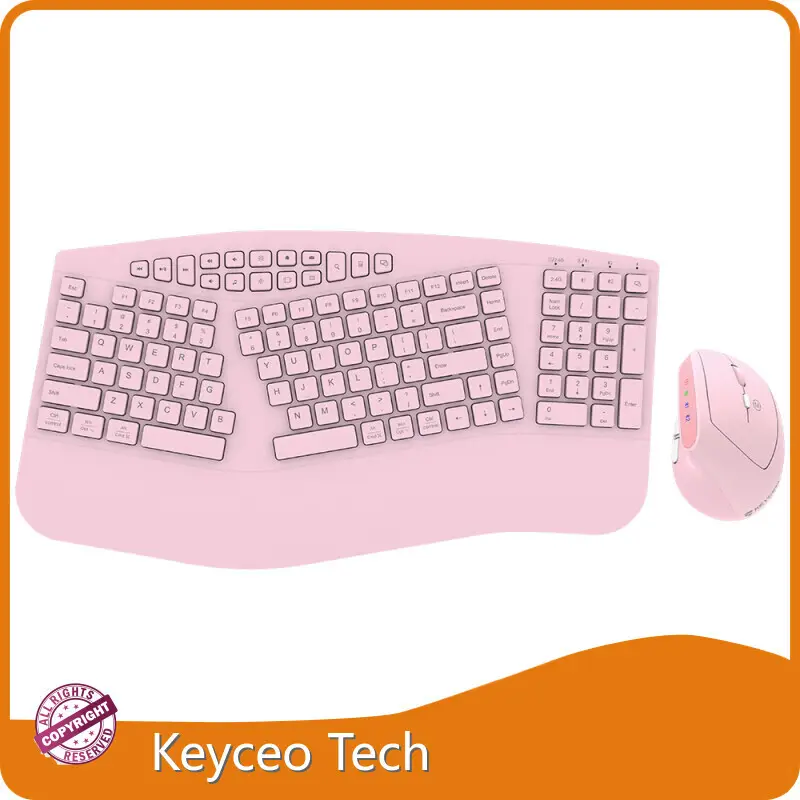 OEM Mechanical Keyboard 2400 by Keyceo 1