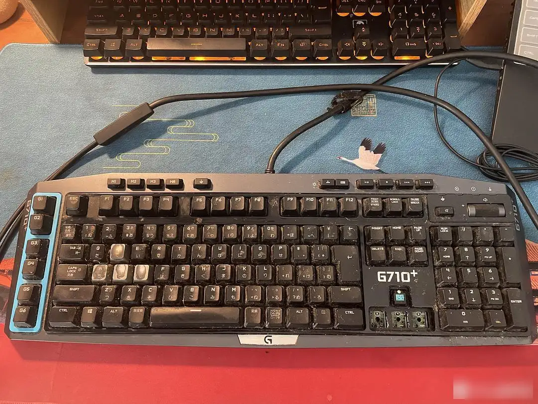 Refurbishing a Logitech G710 Keyboard: My Trash Picking Journey 1